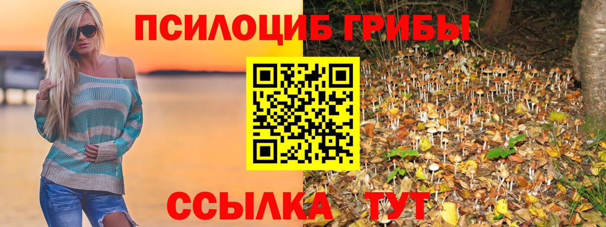 Псилоцибиновые грибы мицелий Киров
