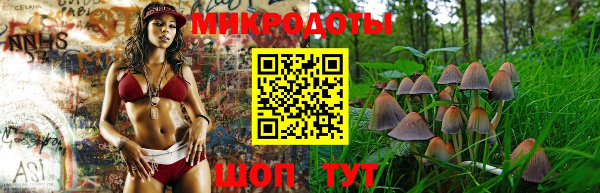 Галлюциногенные грибы Psilocybe  Вход с VPN  Киров  Псилоцибиновые грибы MAGIC MUSHROOMS 